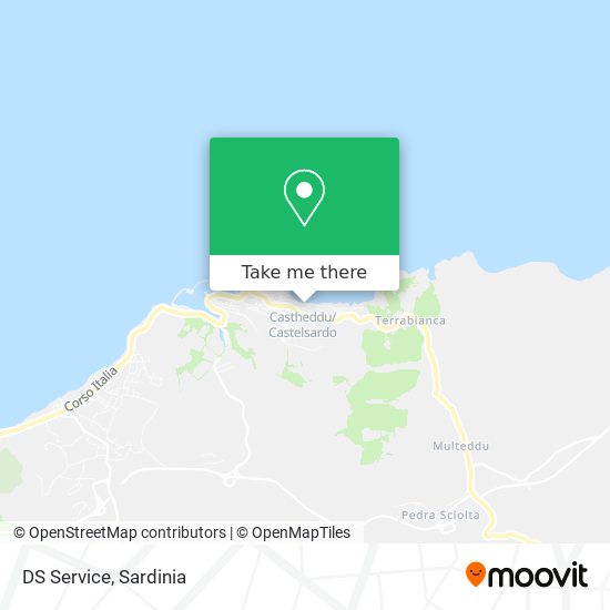 DS Service map