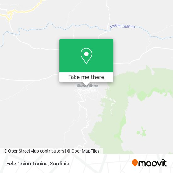 Fele Coinu Tonina map