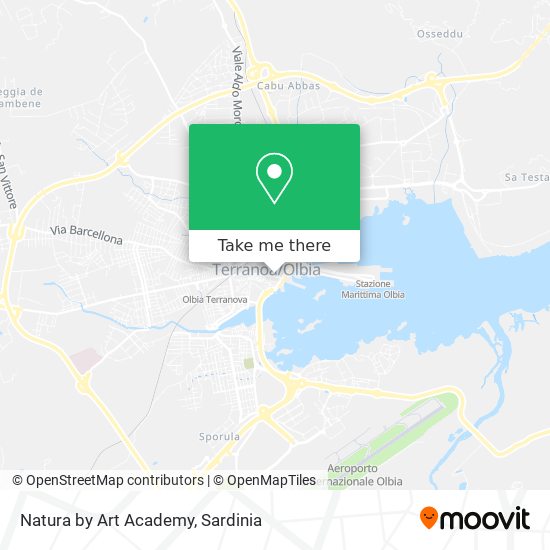 Natura by Art Academy map