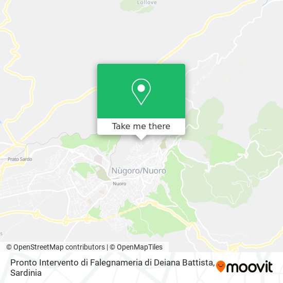 Pronto Intervento di Falegnameria di Deiana Battista map