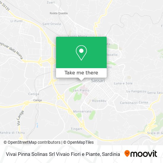 Vivai Pinna Solinas Srl Vivaio Fiori e Piante map