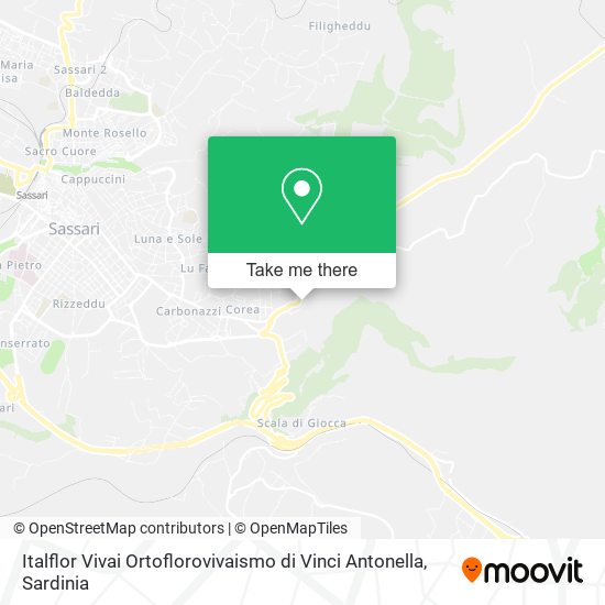 Italflor Vivai Ortoflorovivaismo di Vinci Antonella map