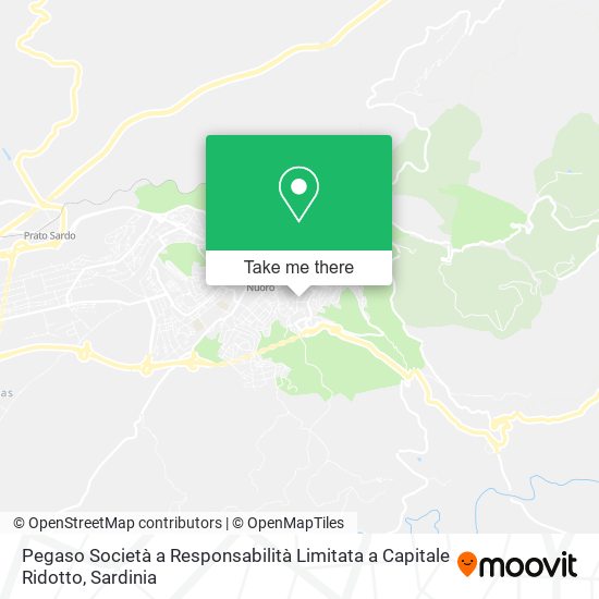 Pegaso Società a Responsabilità Limitata a Capitale Ridotto map