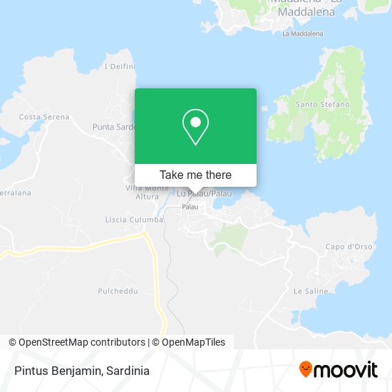 Pintus Benjamin map