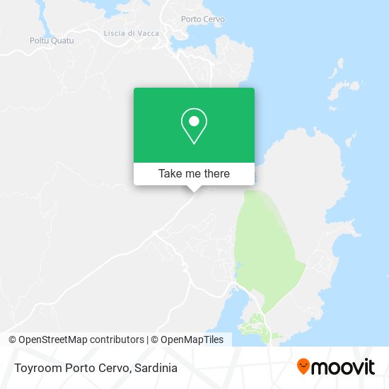 Toyroom Porto Cervo map