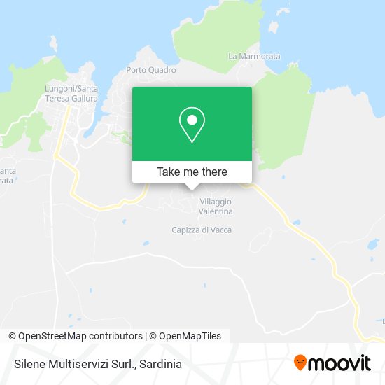 Silene Multiservizi Surl. map