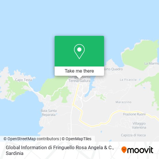 Global Information di Fringuello Rosa Angela & C. map