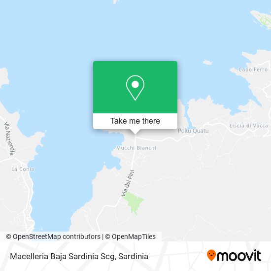 Macelleria Baja Sardinia Scg map