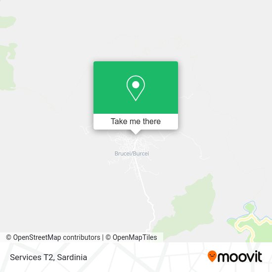 Services T2 map