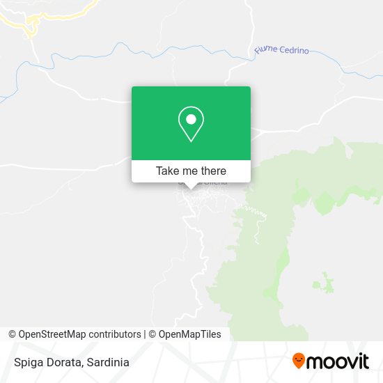 Spiga Dorata map