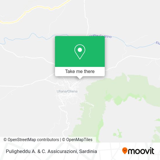 Puligheddu A. & C. Assicurazioni map