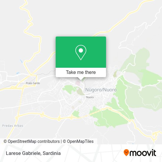 Larese Gabriele map