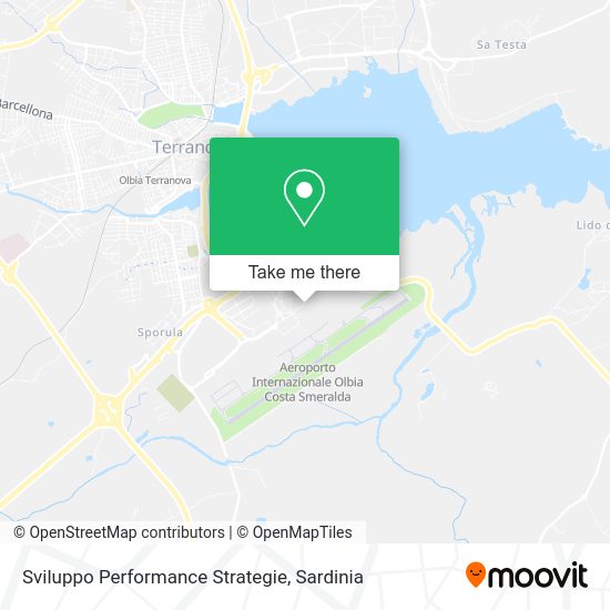 Sviluppo Performance Strategie map