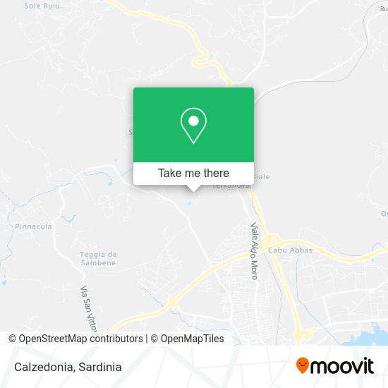 Calzedonia map