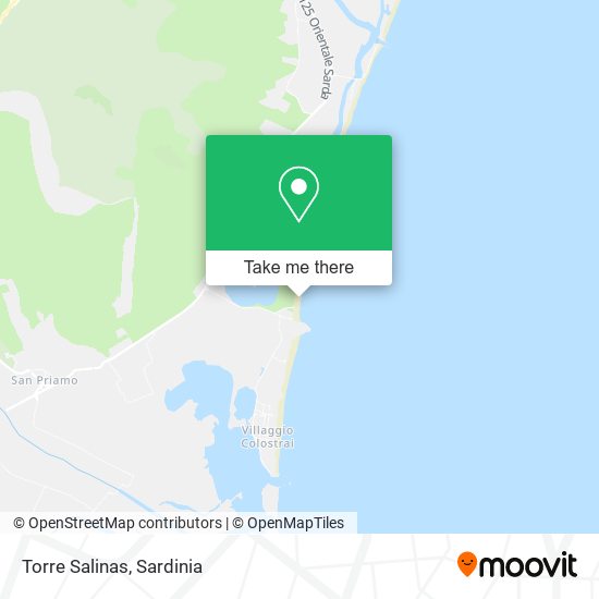 Torre Salinas map