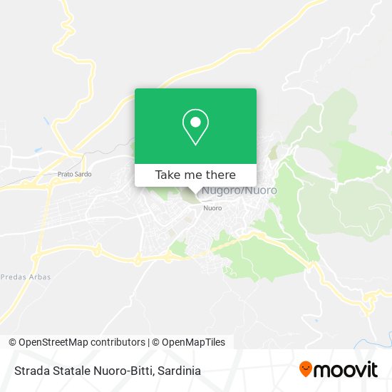 Strada Statale Nuoro-Bitti map