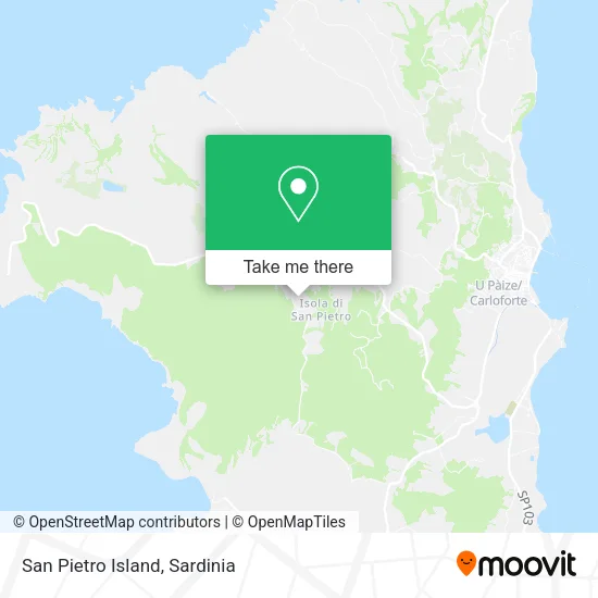San Pietro Island map