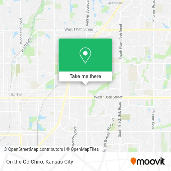 On the Go Chiro map