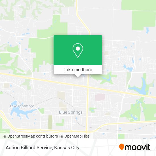 Action Billiard Service map