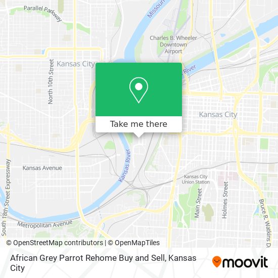 Mapa de African Grey Parrot Rehome Buy and Sell