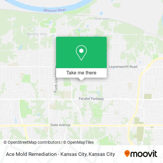 Ace Mold Remediation - Kansas City map