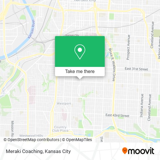 Meraki Coaching map