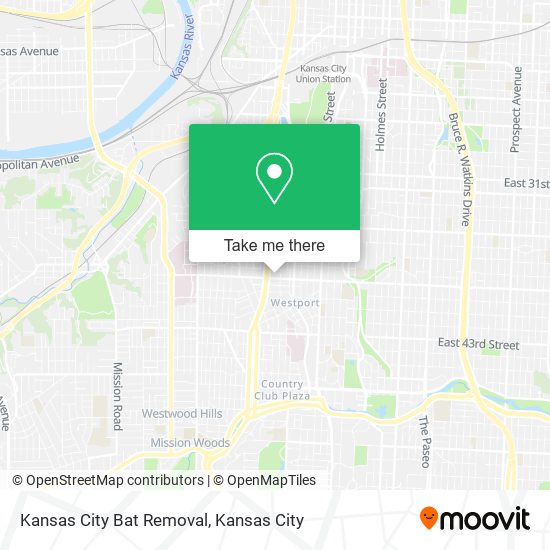Kansas City Bat Removal map