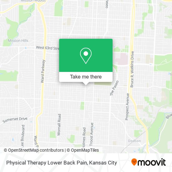 Mapa de Physical Therapy Lower Back Pain