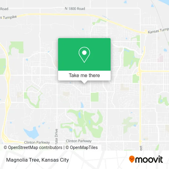 Mapa de Magnolia Tree