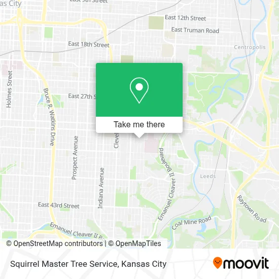 Squirrel Master Tree Service map