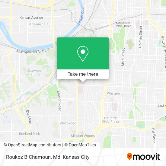 Roukoz B Chamoun, Md map