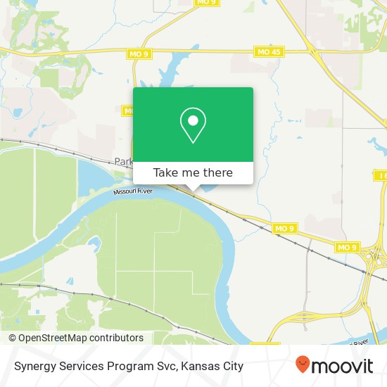 Synergy Services Program Svc map