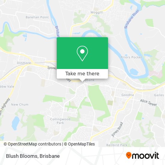 Blush Blooms map