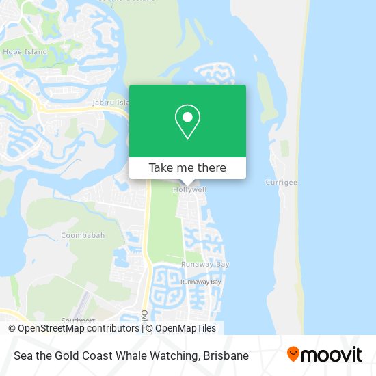 Sea the Gold Coast Whale Watching map