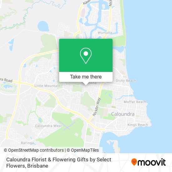 Caloundra Florist & Flowering Gifts by Select Flowers map