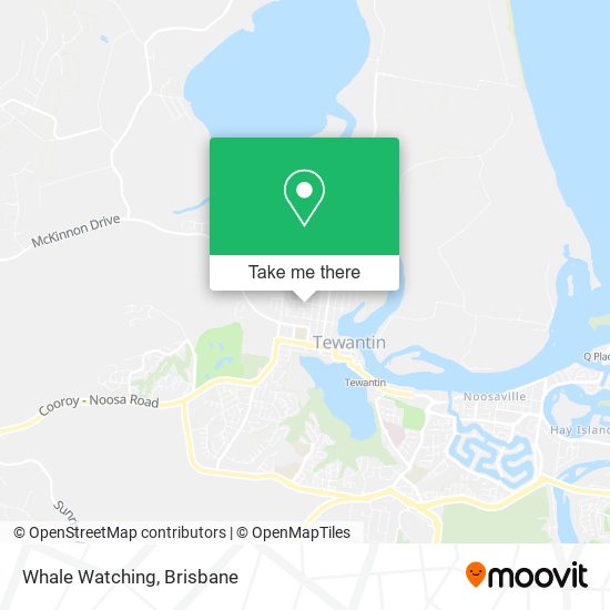 Whale Watching map