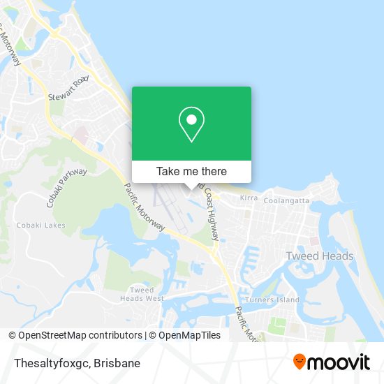 Thesaltyfoxgc map