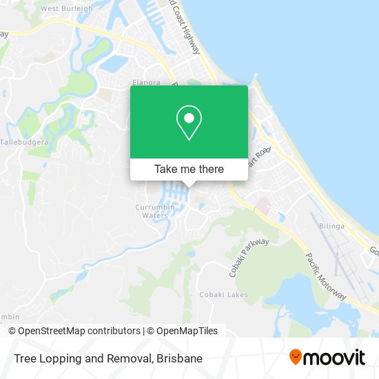 Tree Lopping and Removal map