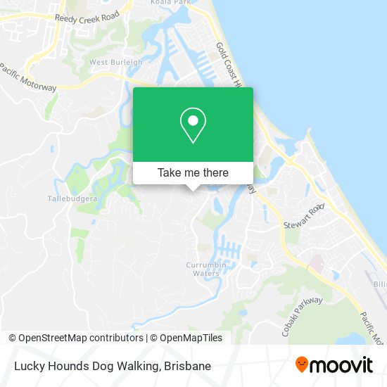 Mapa Lucky Hounds Dog Walking