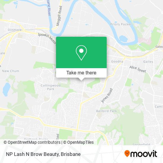 NP Lash N Brow Beauty map