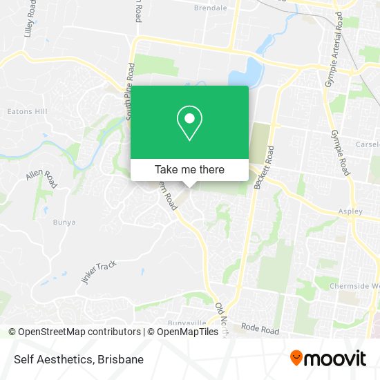 Self Aesthetics map