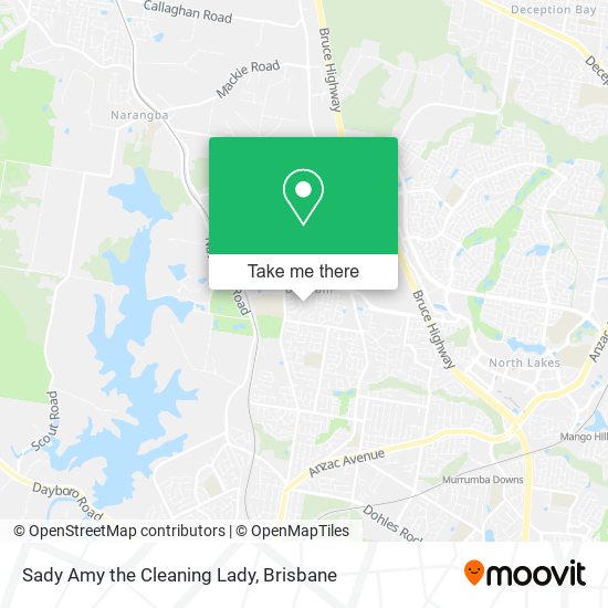 Sady Amy the Cleaning Lady map
