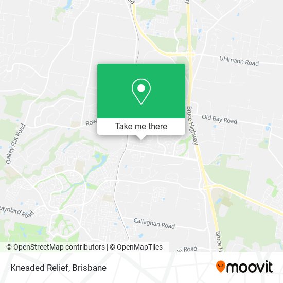Kneaded Relief map