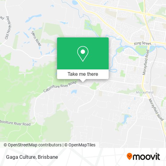 Gaga Culture map