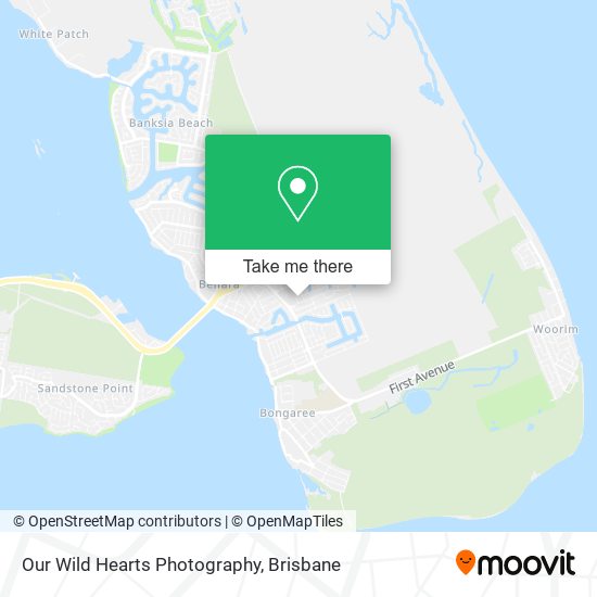 Our Wild Hearts Photography map