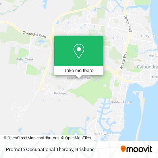 Mapa Promote Occupational Therapy