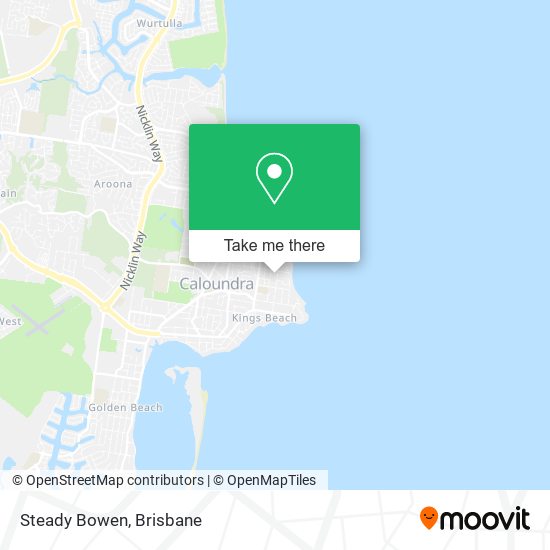 Steady Bowen map
