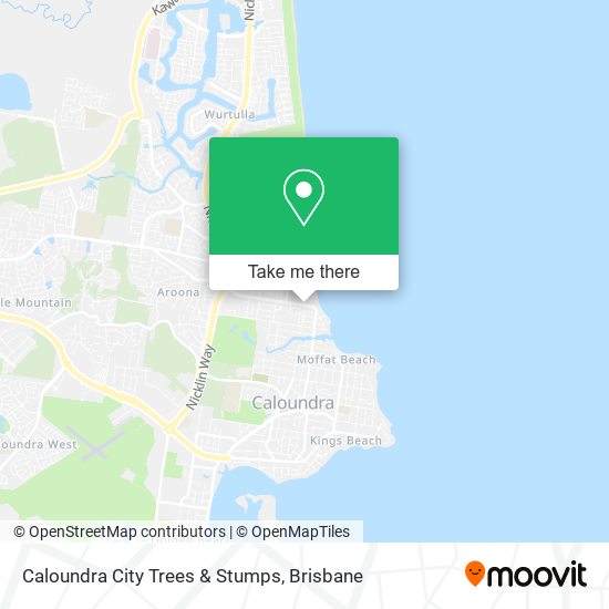 Caloundra City Trees & Stumps map