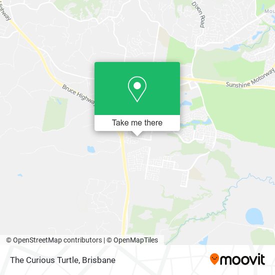 The Curious Turtle map