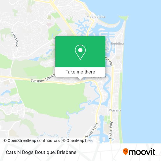 Cats N Dogs Boutique map